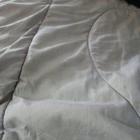 Wedding - Picture 1 of 1